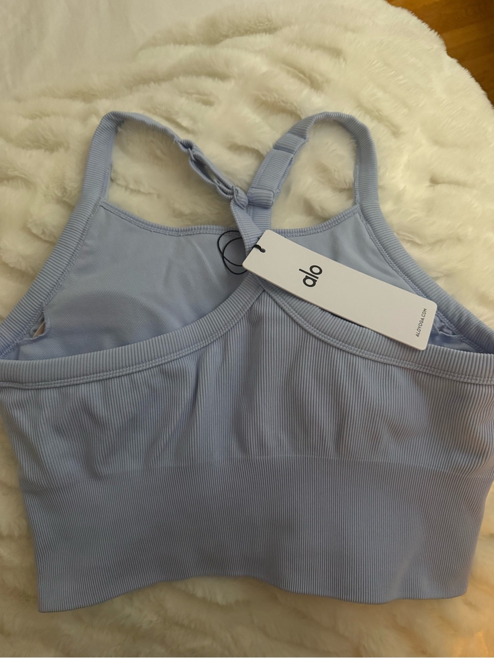 ALO Yoga Light Blue Ribbed Sports Bralette
